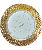 ECOLA GX53 H4 DL5381 золото алюминий Переносные светильники