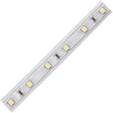 ECOLA LED Strip 220V STD 4,8W/m IP68 10x6 60Led/m 4200K 4Lm/LED 240Lm/m 100м. Светильники